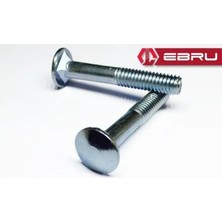 Ergün Collection Kasa Civata 5/16X50 - 10 Adet