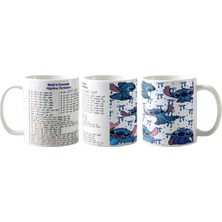 Ghostbastır Design Eğitici Matematik Formülleri Stitch Kupa Bardak | Tek Adet K029