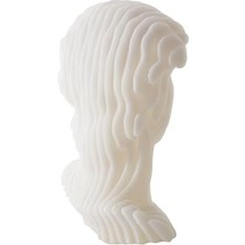 Depo Store David Biblo 20X31CM