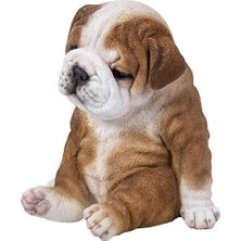 Depo Store Oturan Uykulu Bulldog Yavru Köpek