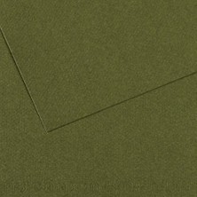 Kitabevimden Canson Fon Kartonu (Dokulu) Mı-Teıntes Sh Canmt 50X65 160 gr Grn 448-10-LI-PKT