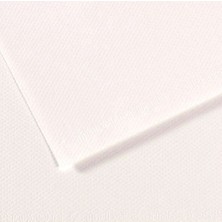 Kitabevimden Canson Fon Kartonu (Dokulu) Mı-Teıntes Sh Canmt 50X65 160 gr Whıt 180