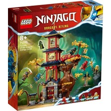 LEGO Ninjago 71795 Temple Of The Dragon Energy Cores