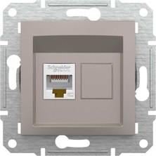 Schneider Electric EPH4300169 1*RJ45 CAT5E-UTP Bronz