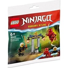 LEGO Ninjago 30650 Kai And Rapton's Temple Battle