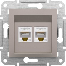Schneider Electric EPH4400169 2*RJ45 CAT5E-UTP Bronz