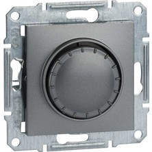 Schneider Electric EPH5401162 Asfora Ses Potansiyometresi Çelik