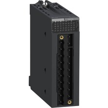 Schneider Electric BMXDDO1602 0,5A Djital 16 Çıkş Modül(Transistör)