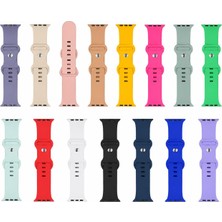 Lizzard Apple Watch Uyumlu Kordon 15'li Set