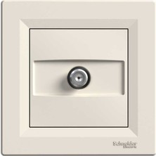Schneider Electric EPH3700123 Asfora Krem 1db Sonlu Sat Prizi