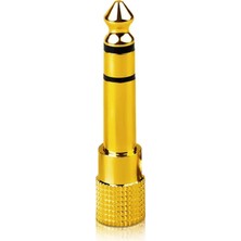 Jinghua 3.5mm Dişi - 6.35MM Erkek Ses Dönüştürücü Adaptör, Stereo Jak Çevirici, Kulaklık Mikrofon Hoparlör Amfi Mikser Uyumlu, Altın Kaplama, Metal Gövde, Tak Çalıştır S310