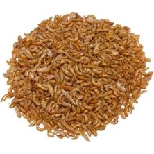 Plus Moda Kurutulmuş Gammarus Kaplumbağa Yemi 10 gr