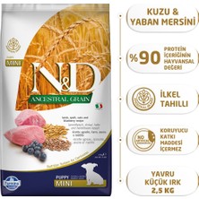 N&D Nd Az Tahıllı Kuzu & Y.Mersini Puppy Mini Köpek Maması - 2.5 Kg