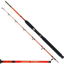 Remixon Pagrus 120 cm 60-120 gr 2p Bot Kamışı 5 Yüzük ile Hafif ve Dayanıklı Tasarım