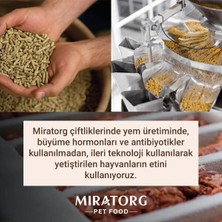 Vuralsin38 Sterilised Gravy Kısırlaştırılmış Tavuklu Kedi Yaş Maması 80 gr x 24 Adet