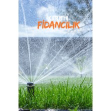 Çermik Fidancılık Dört Mevsim Ekilen 6 Karışımlı Çim Tohumu 1 Kğ