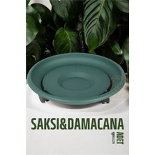 ENCO Mey Ithalat® Tekerlekli Saksı Altığı 37 cm Yeşil 721052
