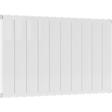 DG Vision DGVision Feronia 600x1000 Alüminyum Radyatör