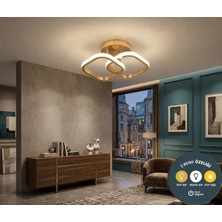 Lzy Avize Store Çift Kare Tasarım LED Eskitme Plafonyer Avize - 3 Farklı Renk Seçeneği ile Şık Koridor Antre Avizesi