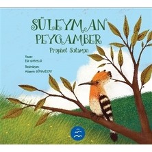 Multibem Yayınları Süleyman Peygamber - Prophet Solomon Elif Santur 3 - 5 Yaş Çocuk Öykü Kitabı