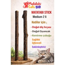 Matatabi Cats 2'li medium Doğal diş fırçası Kedi Çiğneme Çubuğu  Eğlenceli Sakinleştirici doğal Oyuncak