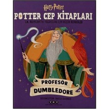 Potter Cep Ları - Profesör Dumbledore
