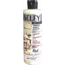 Rich Selfy Decor Akrilik Boya 840 Adaçayı Renkli Vernikli Mobilya Boyası 240 cc