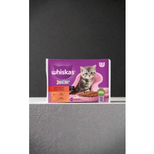 Whiskas Yaş Yavru Kedi Maması 4X85 G