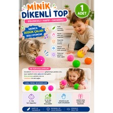 Emrah Gültekin Sesli Dikenli Top 1 Adet Sıkınca Düdük Çalan Çocuk Oyuncak Duyusal Stres Topu 5 cm Renkli Kedi Oyuncağı