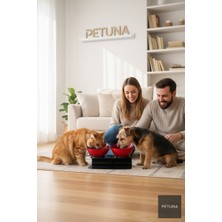 Petuna Iki Hazneli Kedi Kafalı Siyah Standlı Kedi Mama ve Su Kabı 350 ml