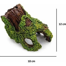 Dekoratif Agaç Kökü 1 Adet Delikli Ağaç Kökü 18 cm Akvaryum Süsü