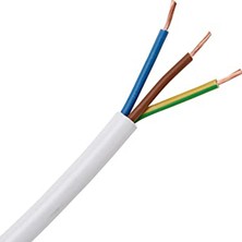 Öznur Ttr Kablo 3*1 Mm2