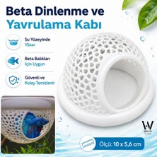 Wahw Pet Akvaryum Beta Dinlenme ve Yavrulama Kabı Özel Tasarım