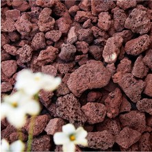 Pomza Taşı 100 kg 1,5-2,5 cm Kırmızı Pomza Tarım Pomzası Bahçe Saksı Teraryum Taşı Ponza