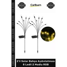 Carlburn #solar Dış Mekan Dekoratif Peyzaj Su Geçirmez 2'li Solar Bahçe Aydınlatması 8 Ledli 2 Modlu Rgb