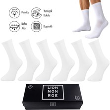 Lion Monroe Saf Pamkulu 4 Mevsim Erkek Soket Uzun Düz Tenis Çorap Dikişsiz Premium Hediye Kutulu 6'lı Prime Cotton Serisi F3180GXNS