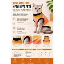 Midilla Renk Geçişli Kedi Kıyafeti – Boydan Geçirmeli Yumuşak ve Rahat Kedi Tişörtü