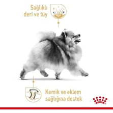 Fırsat Mağazam Canin Pomeranian Yetişkin Köpek Irk Maması 3 kg Renkli