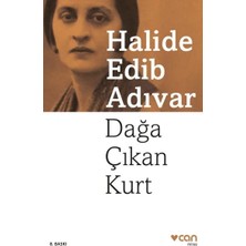 TeknoKapsül Dağa Çıkan Kurt
