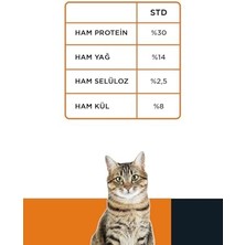 Fırsat Mağazam Econature Kuzulu Yetişkin Kedi Maması 15KG