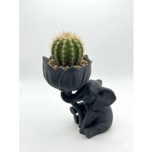 3Dikili Design 3D Baskı Fil Tasarımlı Lotus Çiçeği Sukulent & Kaktüs Saksısı – Iskandinav Tarzı Dekoratif Obje