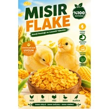 MayPro Tarım Mısır Flake Civcivler Için Doğal Enerji Destekleyici Tamamlayıcı Yem, Ek Besin