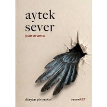 Ravenart Panorama