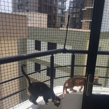 Güneybey File Kedi Balkon Filesi | 1,5 x 2 Metre | Siyah | 3 mm Ip, 3.5x3.5 cm Göz Açıklığı