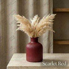 Canseb Elegance Premium - Renkli - 10CM - Kokulu Çizgili Pampas Vazosu