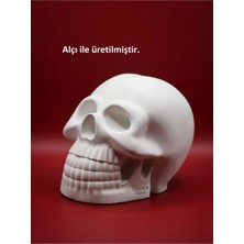 Canseb Elegance 10CM Kuru Kafa Heykeli - Dekoratif Obje Biblo