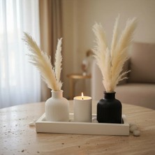 Canseb Elegance 4'lü Pampas Vazosu ve Mumluk Seti (Mum Hediyeli) Premium Set - Dekoratif Set - Pinterest - Bohem - Iskandinav Tarzı - Vazo - Dekoratif Vazo - Obje - Biblo - Heykel - Hediyelik - Dekor Obje