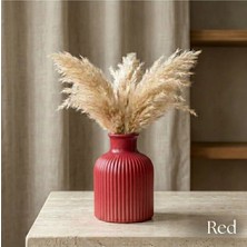 Canseb Elegance Premium - Kırmızı - 10CM - Kokulu Çizgili Pampas Vazosu