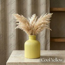 Canseb Elegance Premium - Renkli - 10CM - Kokulu Çizgili Pampas Vazosu