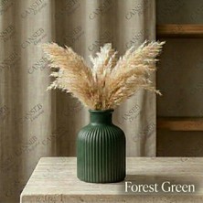 Canseb Elegance Premium - Renkli - 10CM - Kokulu Çizgili Pampas Vazosu